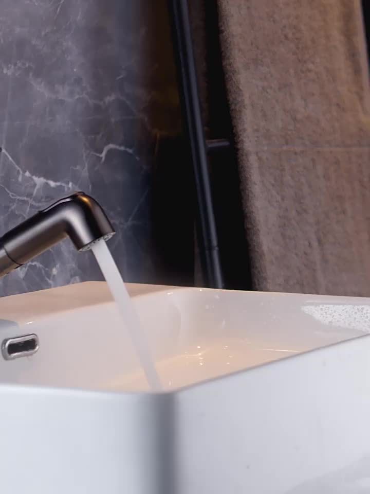 Contemporary Brass Pull-Out Bathroom Sink Faucet with Dual Spout Function, 360-Degree Swivel, Single Hole Deck Mount, Ceramic Valve Core, Hot and Cold Water Mixer, Paint Finished Surface