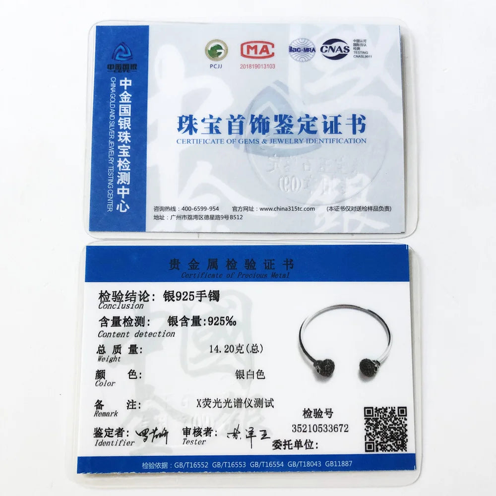 Bracelet bracelets crâne pavé Style européen mode Karma Punk bijoux cadeau pour rebelle hommes femmes en argent Sterling 925