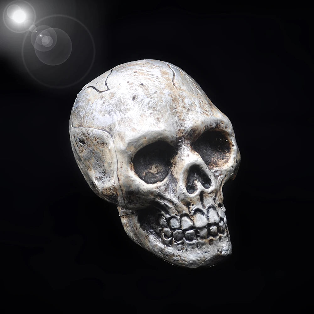 Décoration de crâne d'halloween en plastique de haute qualité, modèle de crâne pendentif, Statue de Sculpture d'horreur, accessoires d'ornements de fête pour maison hantée