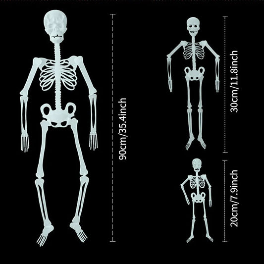 squelette lumineux suspendu