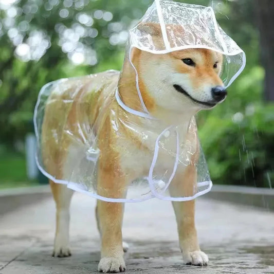 Vêtements de pluie transparents pour chien