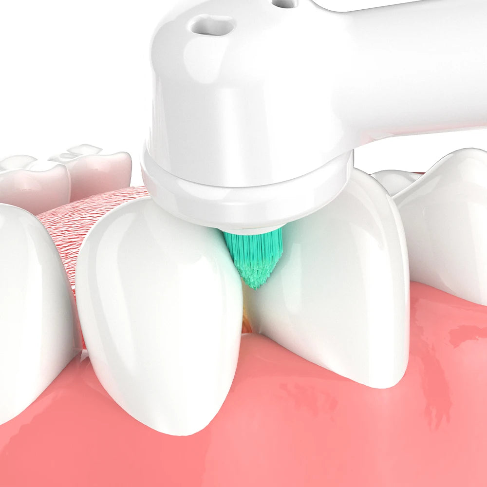 Têtes de brosse à dents interdentaires compatibles avec la brosse à dents électrique Oral B