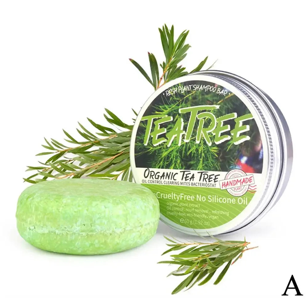 Shampoing en barre de lavage de cheveux fait à la main, extrait d'arbre à thé de Regina, plante verte solide, naturel, H6Q8, 60g