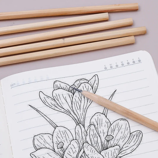 Crayons HB hexagonaux naturels en bois, 1 à 20 pièces,