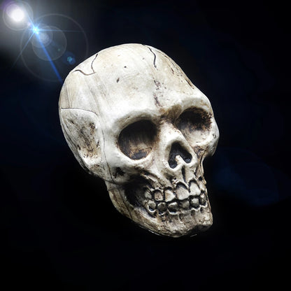 Décoration de crâne d'halloween en plastique de haute qualité, modèle de crâne pendentif, Statue de Sculpture d'horreur, accessoires d'ornements de fête pour maison hantée
