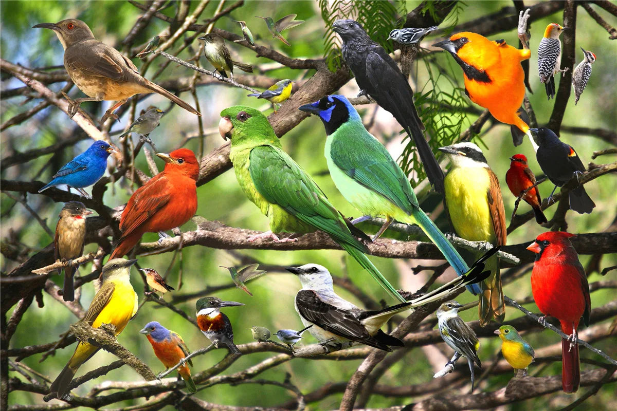 TOBEFU 500 pièces Puzzle décompression assemblage photo paysage Puzzles jouet pour adultes enfants enfants jeu jouets éducatifs