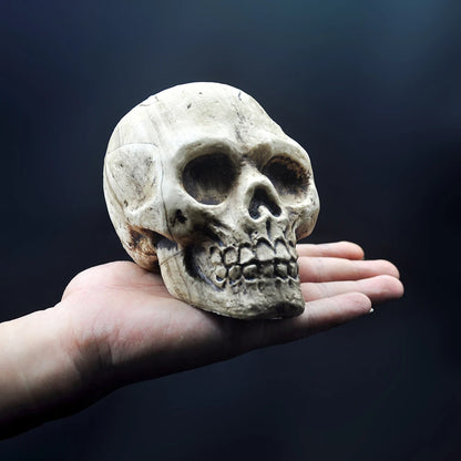 Décoration de crâne d'halloween en plastique de haute qualité, modèle de crâne pendentif, Statue de Sculpture d'horreur, accessoires d'ornements de fête pour maison hantée