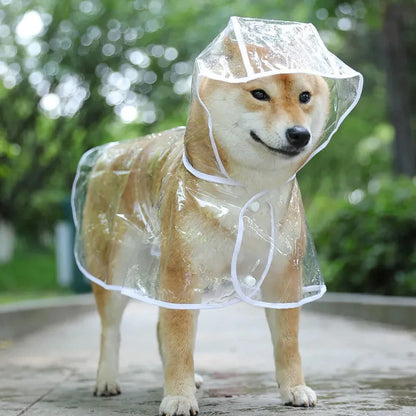 Vêtements de pluie transparents pour chien