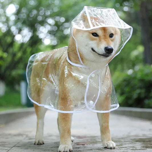 Vêtements de pluie transparents pour chien