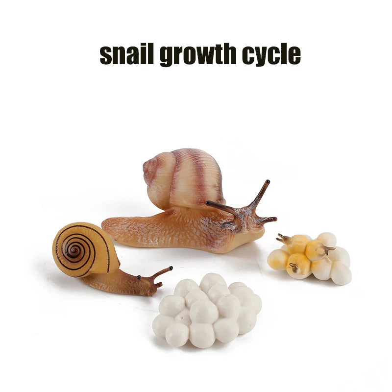 Planche de Cycle de vie des animaux, jouets pour enfants, outils pédagogiques Montessori, ensemble de modèles de Cycle de croissance des animaux, jouets cognitifs préscolaires