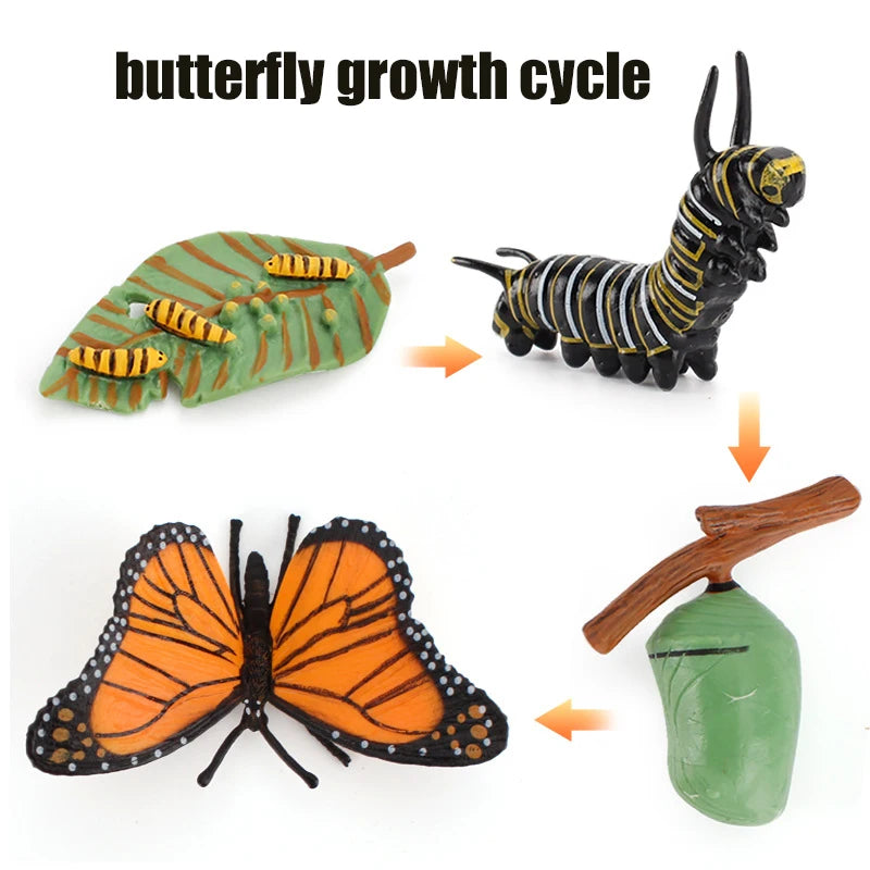 Planche de Cycle de vie des animaux, jouets pour enfants, outils pédagogiques Montessori, ensemble de modèles de Cycle de croissance des animaux, jouets cognitifs préscolaires