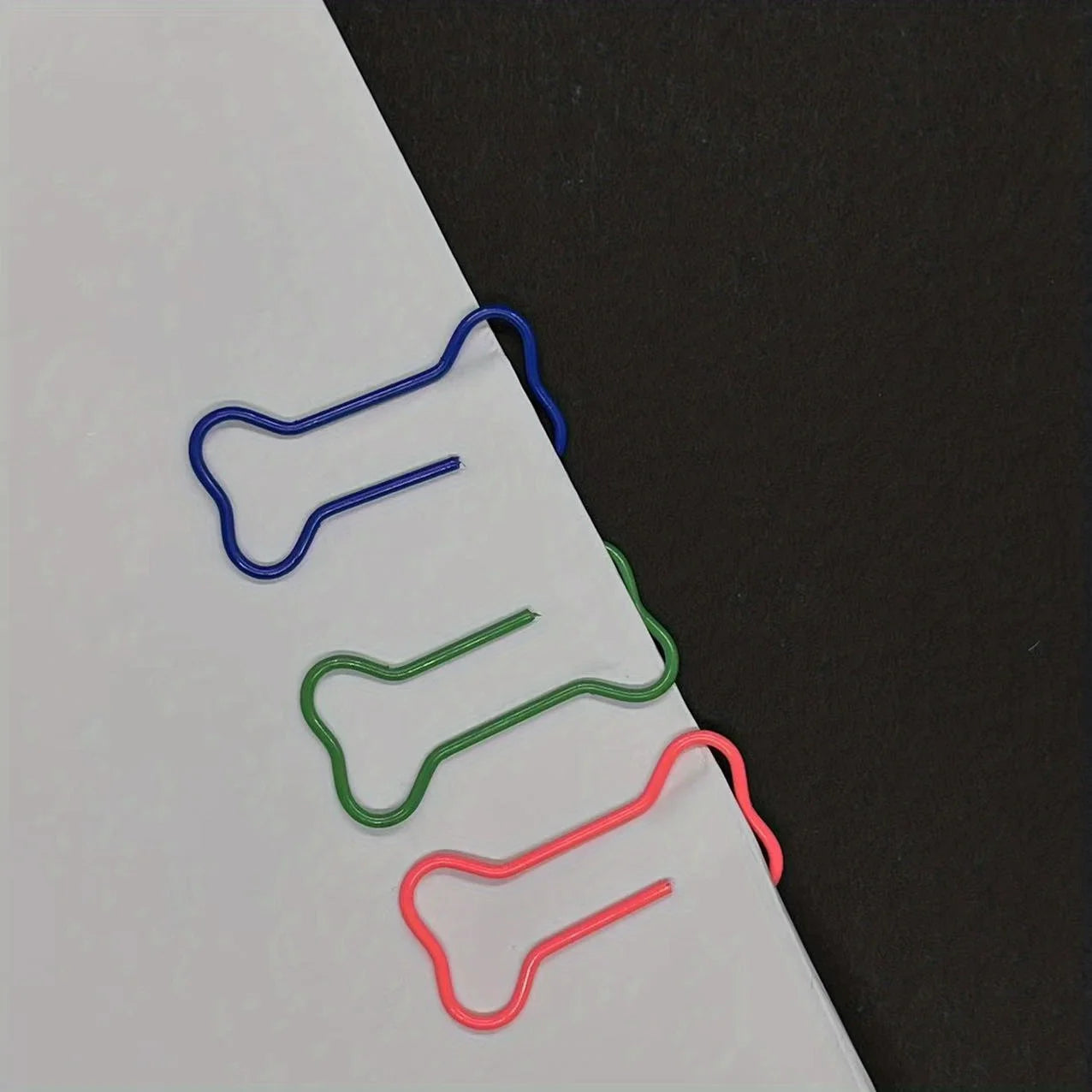 50 trombones Sophia pour chiens, le cadeau parfait pour les amoureux des chiens!