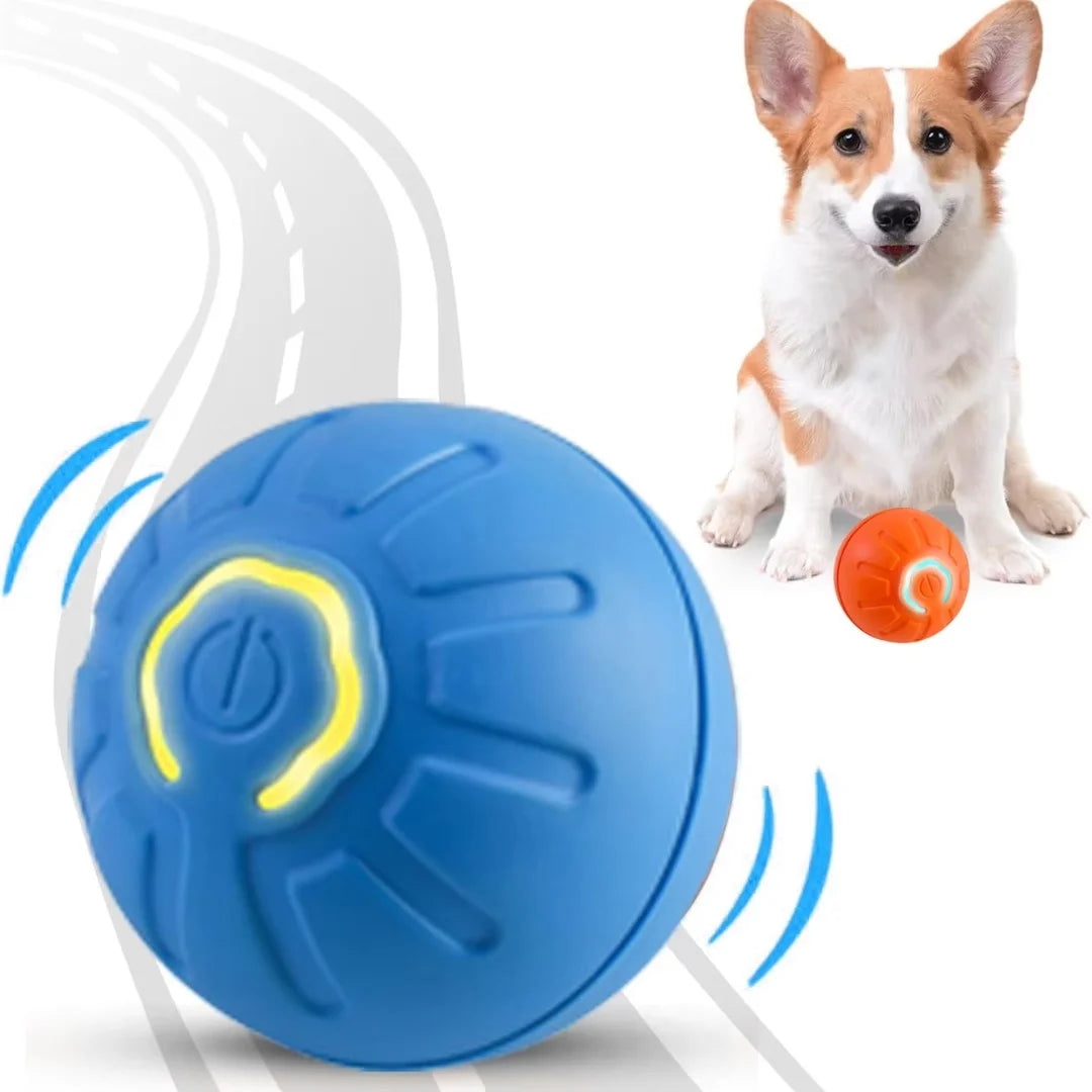 Jouets pour chiens et chats boule électrique par gravité,