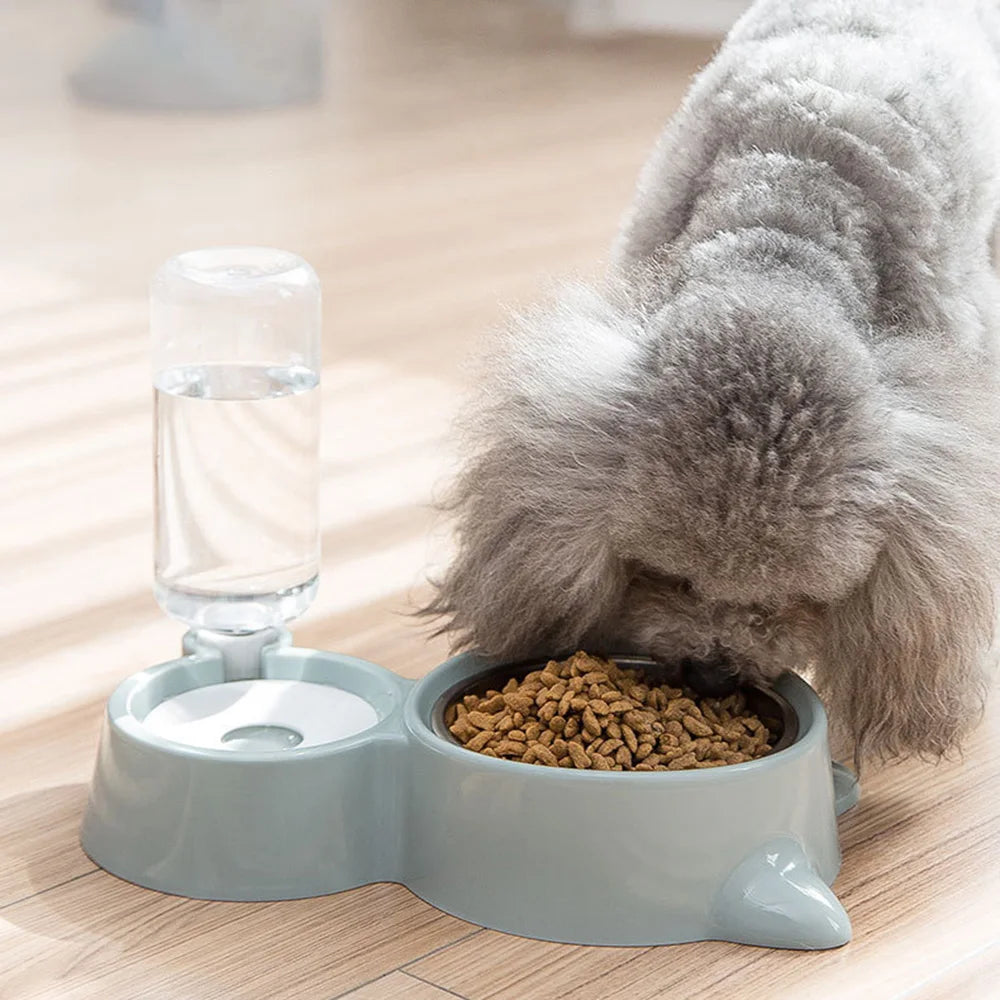 Ensemble de bols pour animaux de compagnie