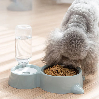 Ensemble de bols pour animaux de compagnie