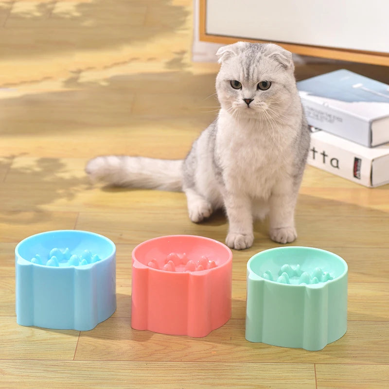 Bol pour animaux de compagnie chats