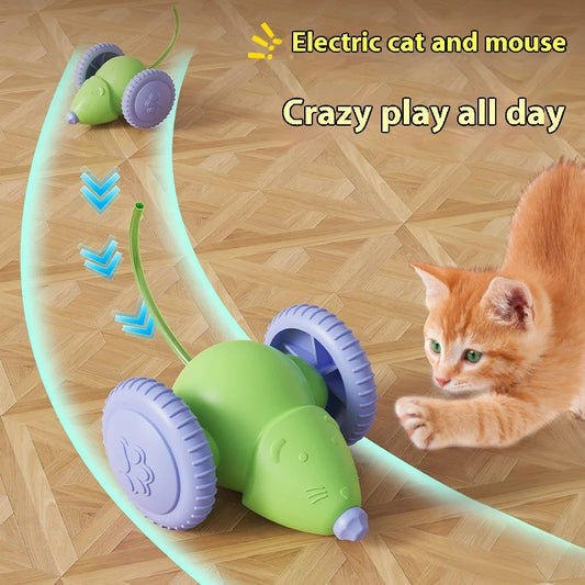 Souris électrique voiture jouets pour chat