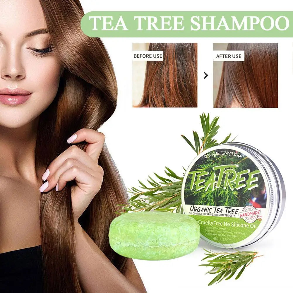 Shampoing en barre de lavage de cheveux fait à la main, extrait d'arbre à thé de Regina, plante verte solide, naturel, H6Q8, 60g