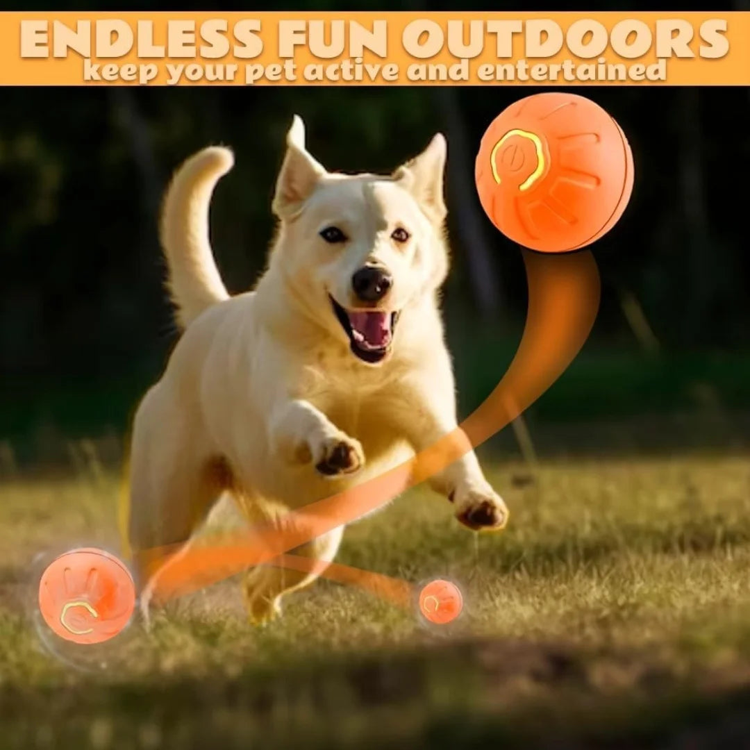 Jouets pour chiens et chats boule électrique par gravité,