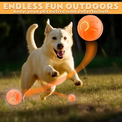 Jouets pour chiens et chats boule électrique par gravité,