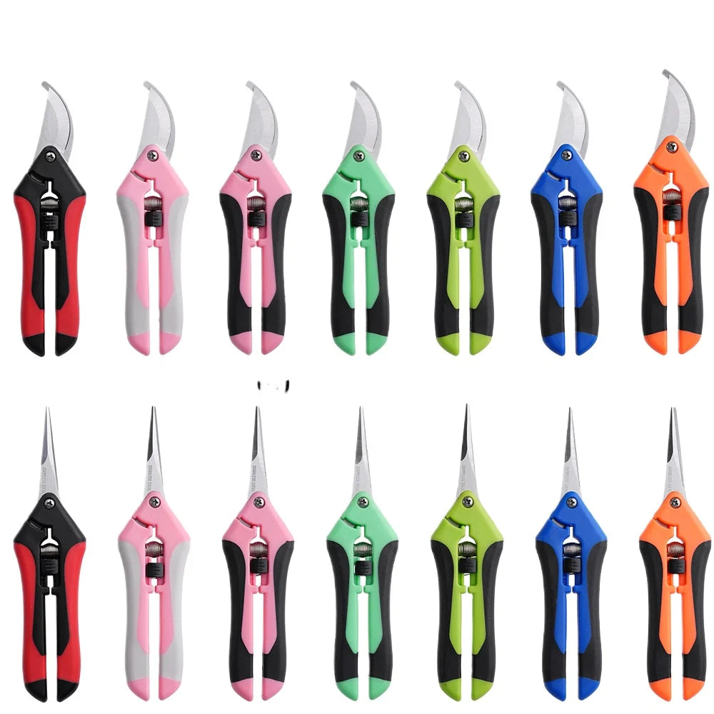 Mini ciseaux de jardinage pour l'élagage, l'élagage des fruits, l'élagage, la cueillette des raisins et les outils de jardinage