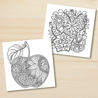 COLORING PAR PATTERN pour adultes Livre de dessin intéressant Cadeau parfait pour la fête et l'anniversaire (Livre de coloriage sans stress)