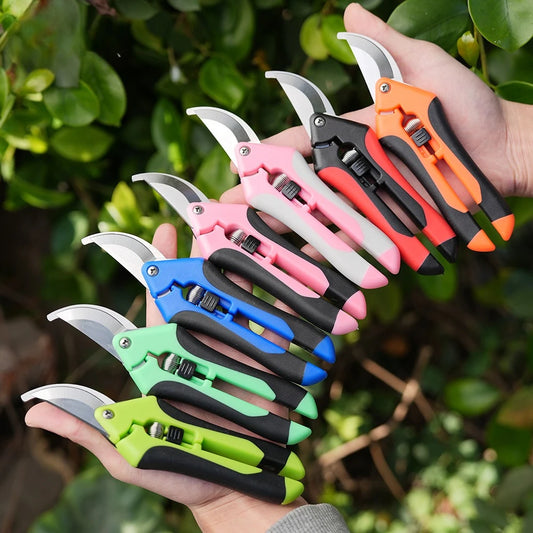 Mini ciseaux de jardinage pour l'élagage, l'élagage des fruits, l'élagage, la cueillette des raisins et les outils de jardinage