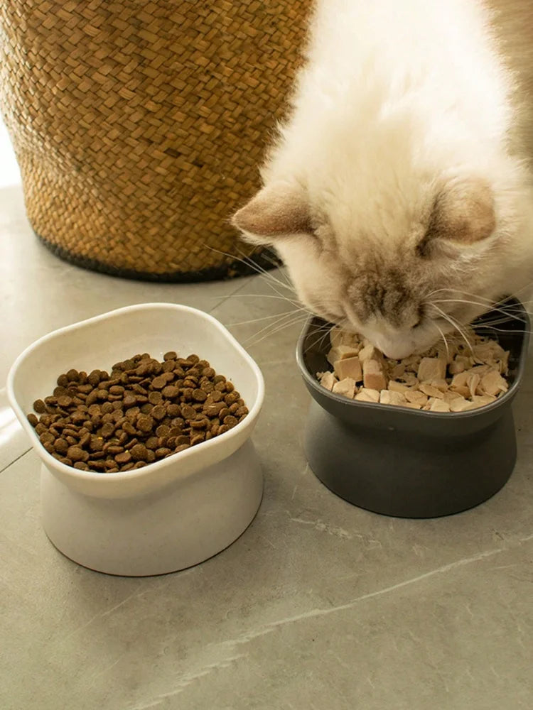 Filles d'eau et de nourriture pour animaux de compagnie, mangeoire pour chat et petit chien, 1 pièce