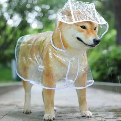 Vêtements de pluie transparents pour chien