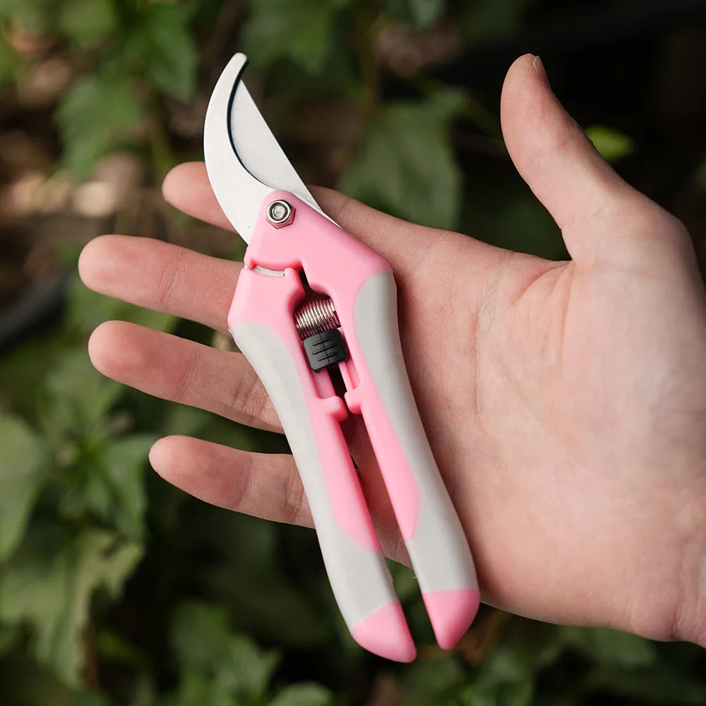 Mini ciseaux de jardinage pour l'élagage, l'élagage des fruits, l'élagage, la cueillette des raisins et les outils de jardinage