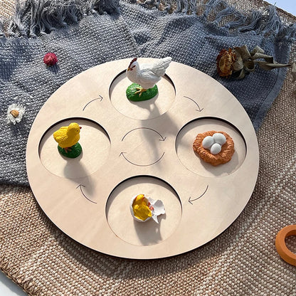 Planche de Cycle de vie des animaux, jouets pour enfants, outils pédagogiques Montessori, ensemble de modèles de Cycle de croissance des animaux, jouets cognitifs préscolaires