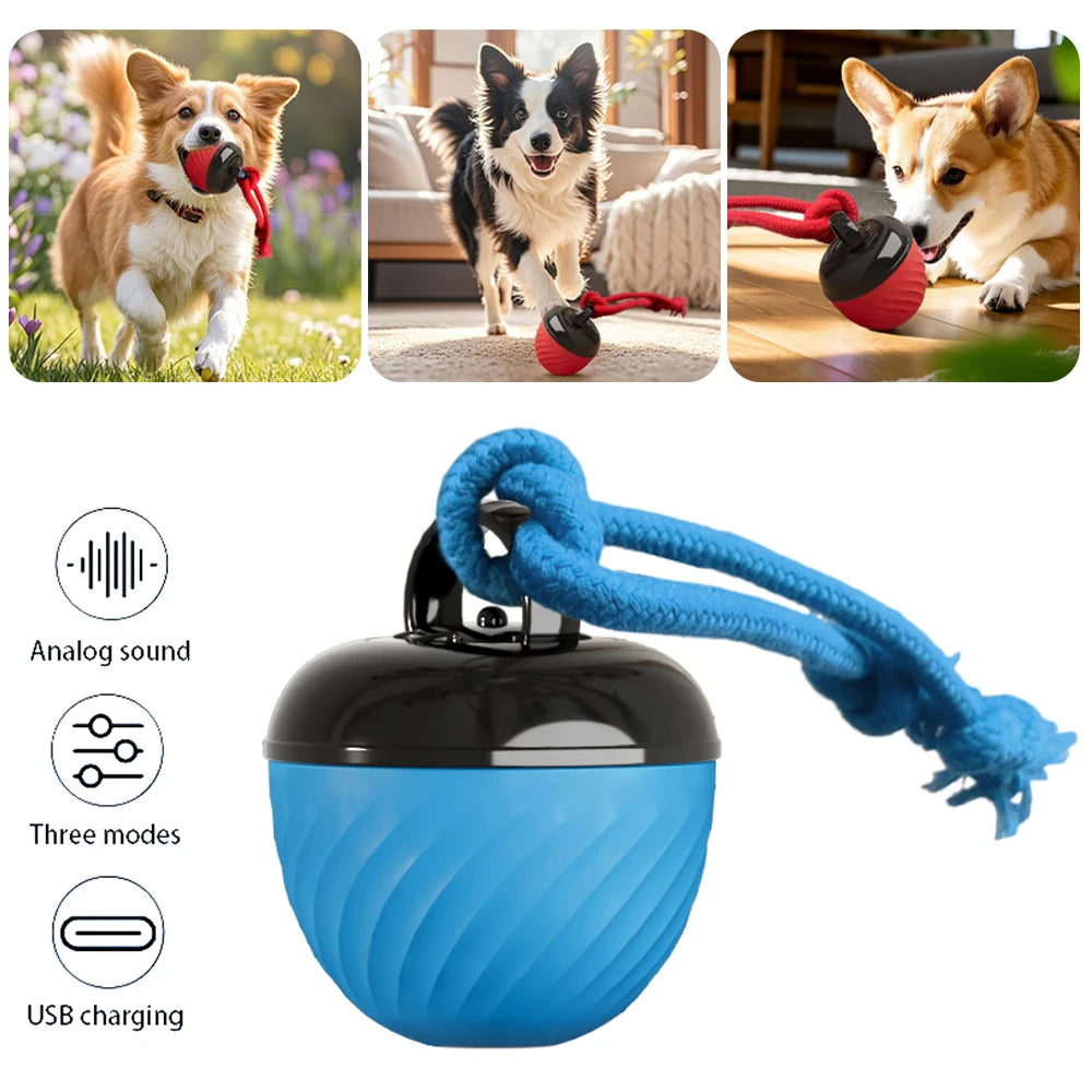 Balle pour animaux de compagnie pour chiens, jouets interactifs, boule roulante activée par le mouvement pour chiots/petits chiens, jouet mobile automatique, jouet Rechargeable par USB