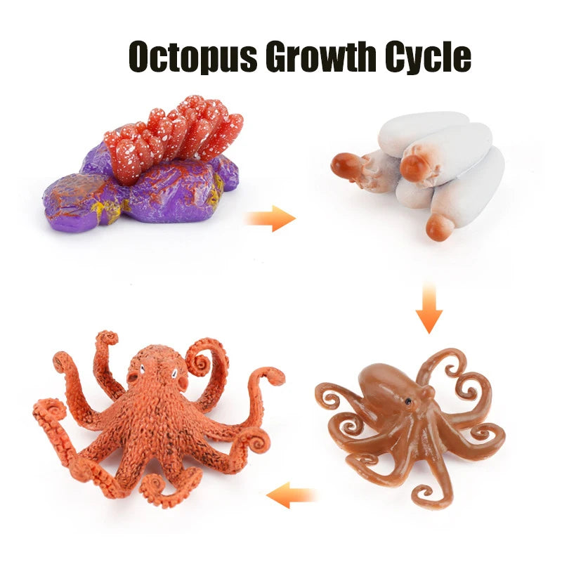 Planche de Cycle de vie des animaux, jouets pour enfants, outils pédagogiques Montessori, ensemble de modèles de Cycle de croissance des animaux, jouets cognitifs préscolaires