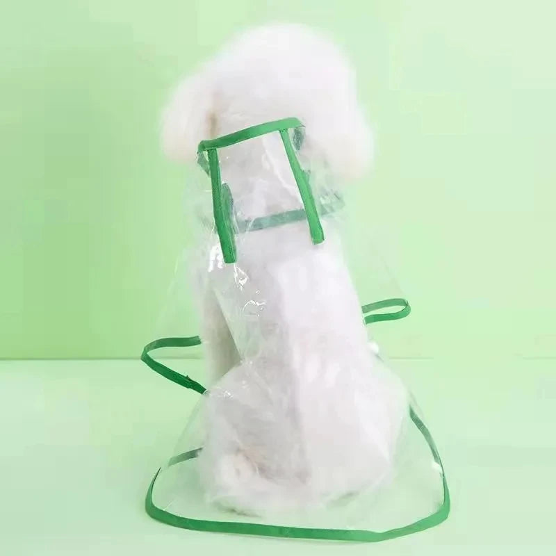 Vêtements de pluie transparents pour chien