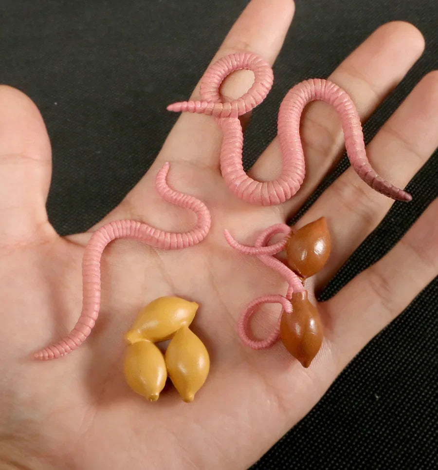 Modèle de biologie de Simulation pour enfants, jouet, Cycle de croissance de la vie des plantes d'animaux, ensemble de jouets Montessori pour enfants, outils pédagogiques, jouets éducatifs