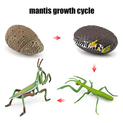 Planche de Cycle de vie des animaux, jouets pour enfants, outils pédagogiques Montessori, ensemble de modèles de Cycle de croissance des animaux, jouets cognitifs préscolaires
