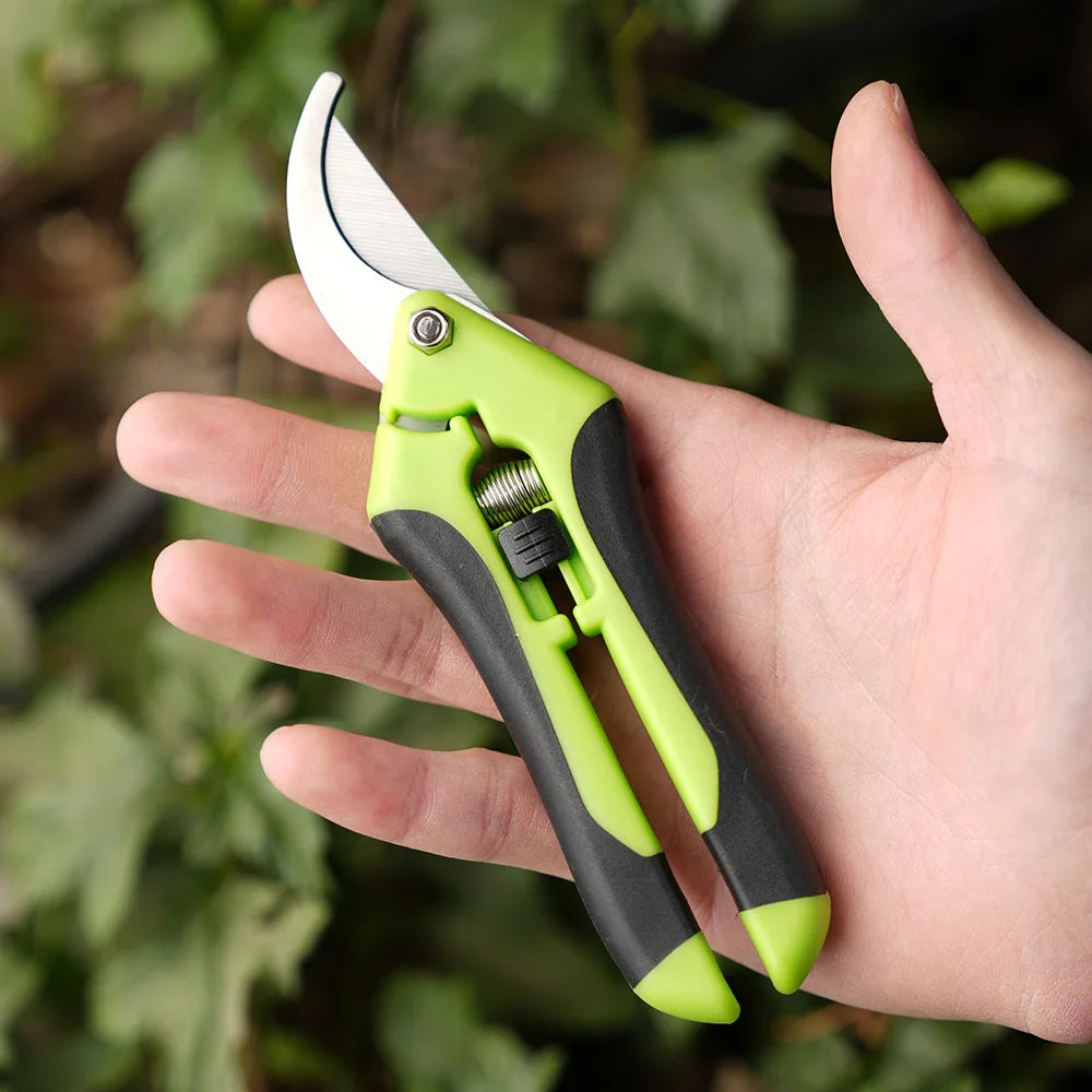 Mini ciseaux de jardinage pour l'élagage, l'élagage des fruits, l'élagage, la cueillette des raisins et les outils de jardinage