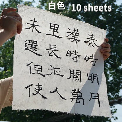 Yaozhai papier de coton fait à la main papier de mûrier rétro papier brut Xuan peinture à moitié mûre papier de calligraphie Yunlong Fiber papier de riz