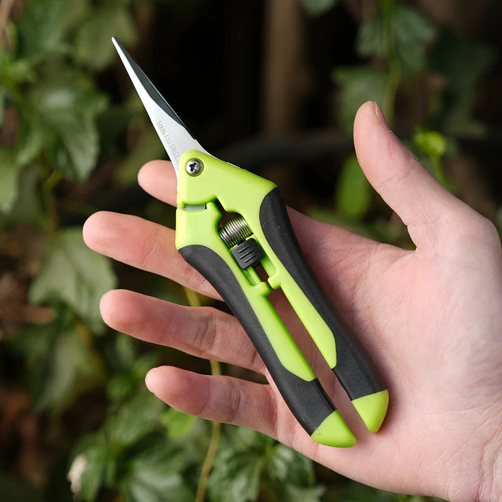 Mini ciseaux de jardinage pour l'élagage, l'élagage des fruits, l'élagage, la cueillette des raisins et les outils de jardinage