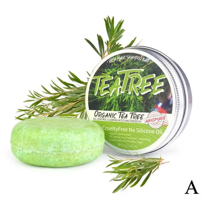 Shampoing en barre de lavage de cheveux fait à la main, extrait d'arbre à thé de Regina, plante verte solide, naturel, H6Q8, 60g