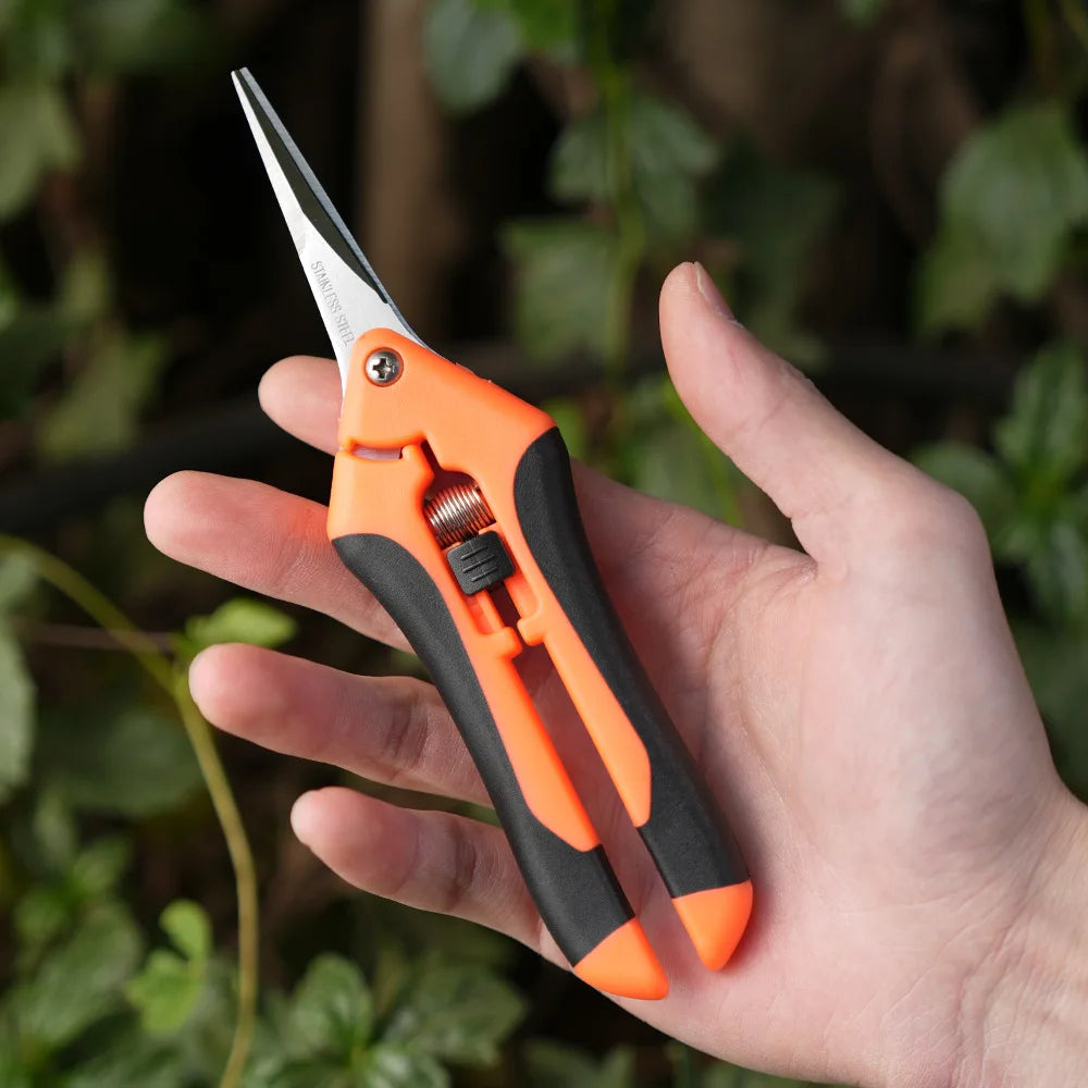 Mini ciseaux de jardinage pour l'élagage, l'élagage des fruits, l'élagage, la cueillette des raisins et les outils de jardinage
