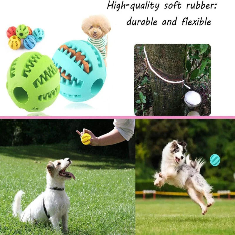 Boule de jouet pour chien, boules en caoutchouc interactives