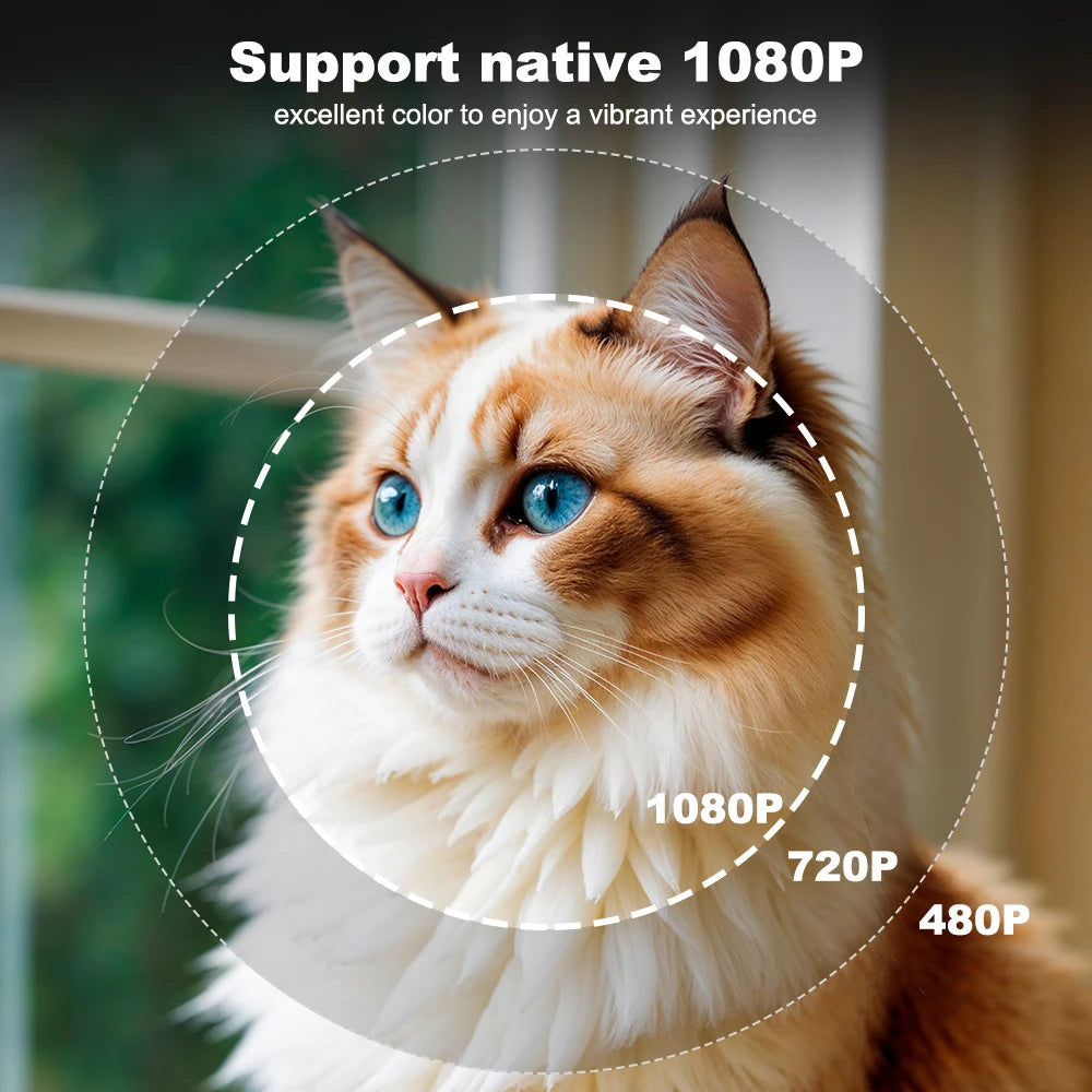 DESS projecteur Full HD 4K 1080P 2500NASI double bande Wifi 6 BT5.2 projecteur Portable bureau maison Android cinéma projecteur intelligent 3D