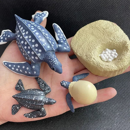 Modèle de biologie de Simulation pour enfants, jouet, Cycle de croissance de la vie des plantes d'animaux, ensemble de jouets Montessori pour enfants, outils pédagogiques, jouets éducatifs