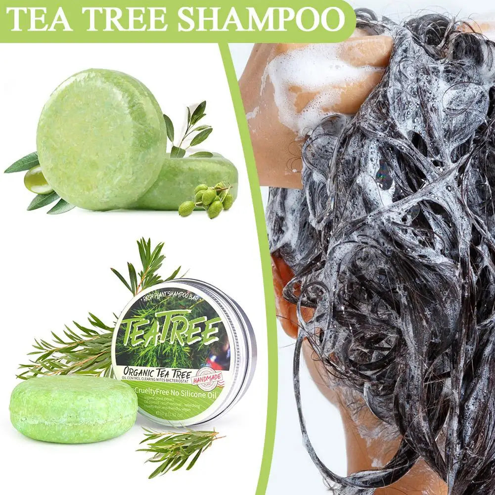 Shampoing en barre de lavage de cheveux fait à la main, extrait d'arbre à thé de Regina, plante verte solide, naturel, H6Q8, 60g