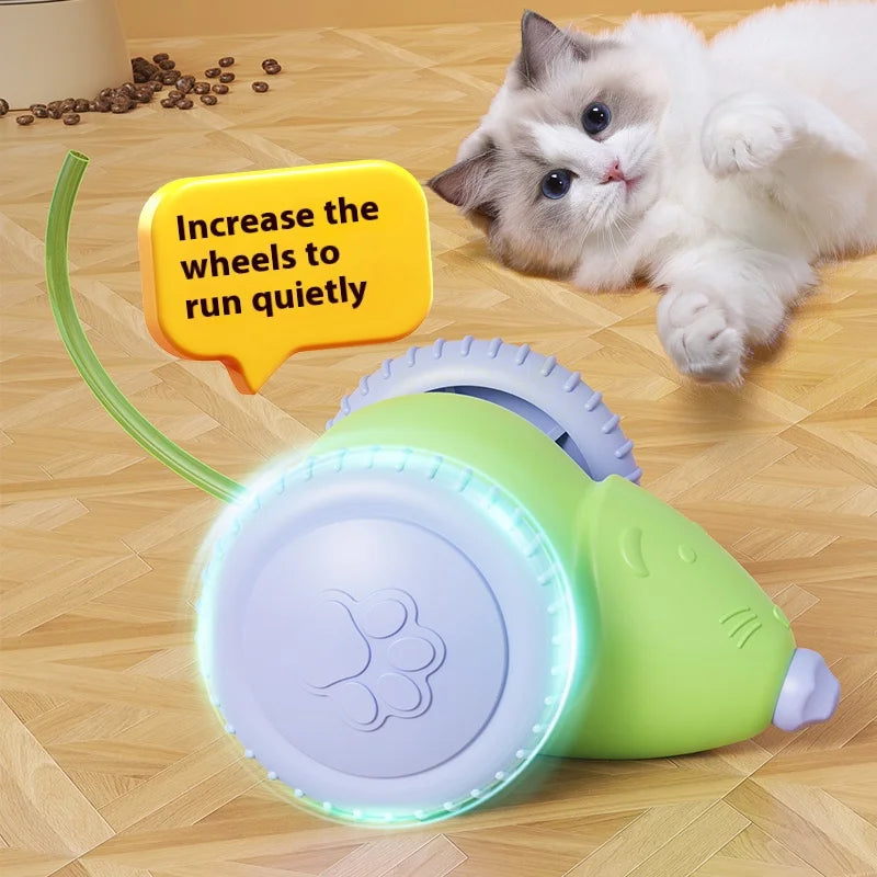 Souris électrique voiture jouets pour chat