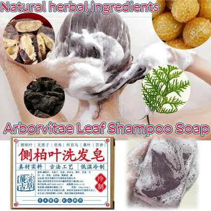 Platdowndown Adus Arborvitae Leaves Polygonum, Multithorum Tea Bran, Soapberry, Soapberry, Prairie Method, Natural Plant Shampoo, Regina, 100g