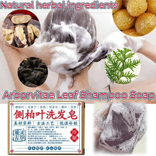 Platdowndown Adus Arborvitae Leaves Polygonum, Multithorum Tea Bran, Soapberry, Soapberry, Prairie Method, Natural Plant Shampoo, Regina, 100g