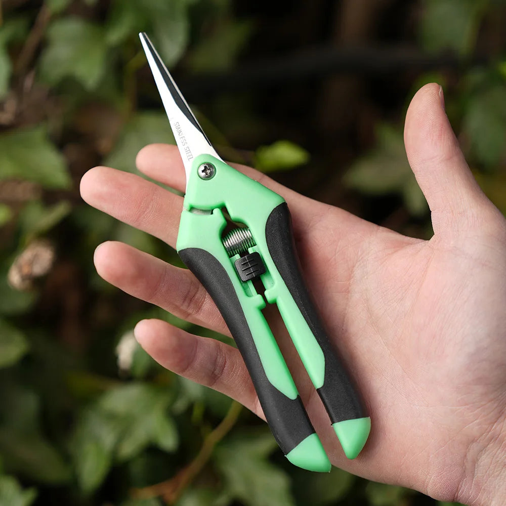 Mini ciseaux de jardinage pour l'élagage, l'élagage des fruits, l'élagage, la cueillette des raisins et les outils de jardinage