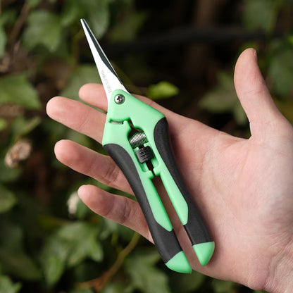 Mini ciseaux de jardinage pour l'élagage, l'élagage des fruits, l'élagage, la cueillette des raisins et les outils de jardinage